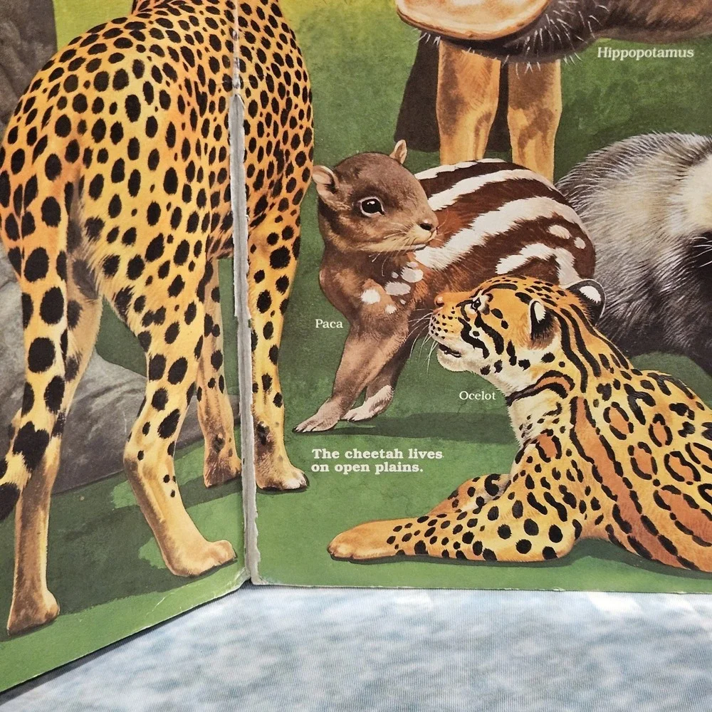 Vintage 1991 Nature's Show Offs Giant 22